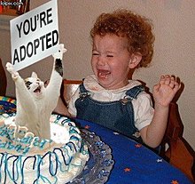 b385482funnybirthday.jpg