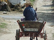 87379d1292709656-poze-funny-mvc_285f_1185863536.jpg