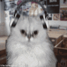 metal.gif