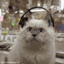 rock.gif