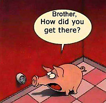 funny0465ho3.jpg