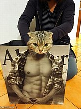 random-boss-1.jpg
