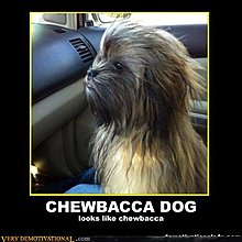 demotivational-posters-untitled1.jpg