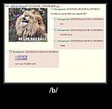 1299395678607.jpg