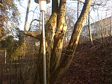 dsc02843.jpg