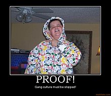proof-twat-gangsta-prick-pussy-bling-demotivational-poster-1259856045.jpg