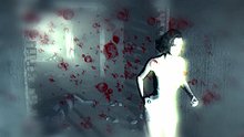 velvet_assassin_1_small.jpg