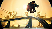 dyrdek_hippy.jpg