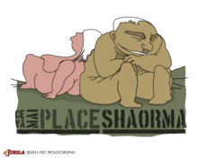 228_fullsize_ce-va-mai-place-shaorma.gif