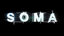 soma.jpg