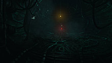 soma-chamber.jpg