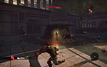 bcx360028.jpg
