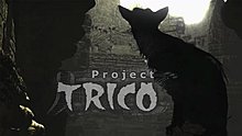 project_trico.jpg