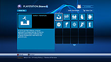 psn3.jpg