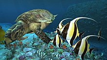 aquanauts_holiday_10.jpg