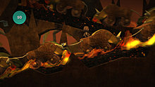 lbp5.jpg