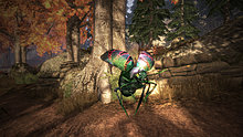 image-o-matic.x-7-.jpg