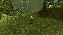 halo_mmo_22.jpg