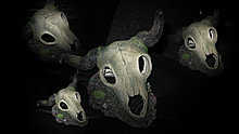 aquarium_headhunter.jpg