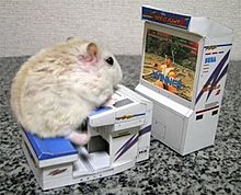 hamster-video-game-maze1.jpg