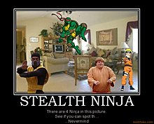stealth-ninjas.jpg