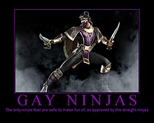 gay_ninjas_by_weirdnerdsquad.jpg