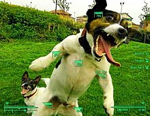 fallout3_dog_jedineka.jpg