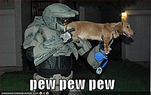 funny-pictures-halo-dog-pew.thumbnail.jpg