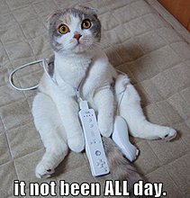 funny-video-game-photos-19.jpg