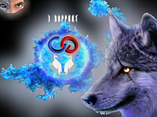 wolf.jpg
