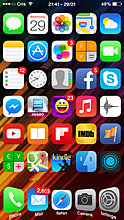 springtomize3_iphone5_2.jpg