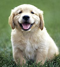 welcome-our-website-.jpg