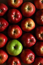 apples-red-green.jpg