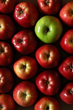 apples-red-green2.jpg