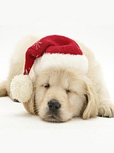 img_0003.jpg