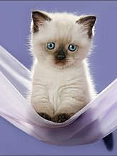 img_0006.jpg