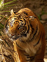 img_0007.jpg