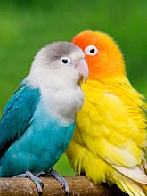 img_0012.jpg