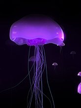 img_0018.jpg