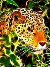 img_0025.jpg