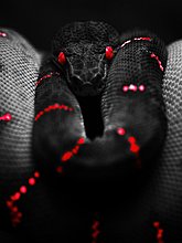 img_0031.jpg
