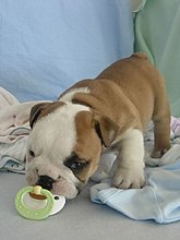 img_0040.jpg