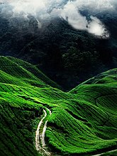 img_0058.jpg