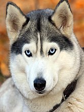 img_0059.jpg