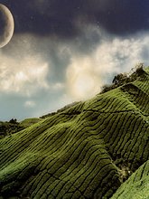 img_0065.jpg