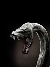 img_0066.jpg
