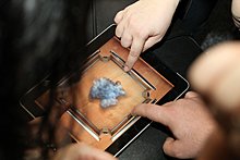 img_3972.jpg