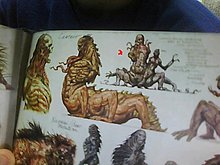 picture-009.jpg