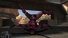 61545952-full.jpg