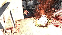 f40efc6218532aab64f0.jpg